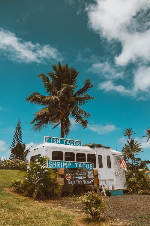 How to start a Food Truck Business Series: Permits and how to lincense