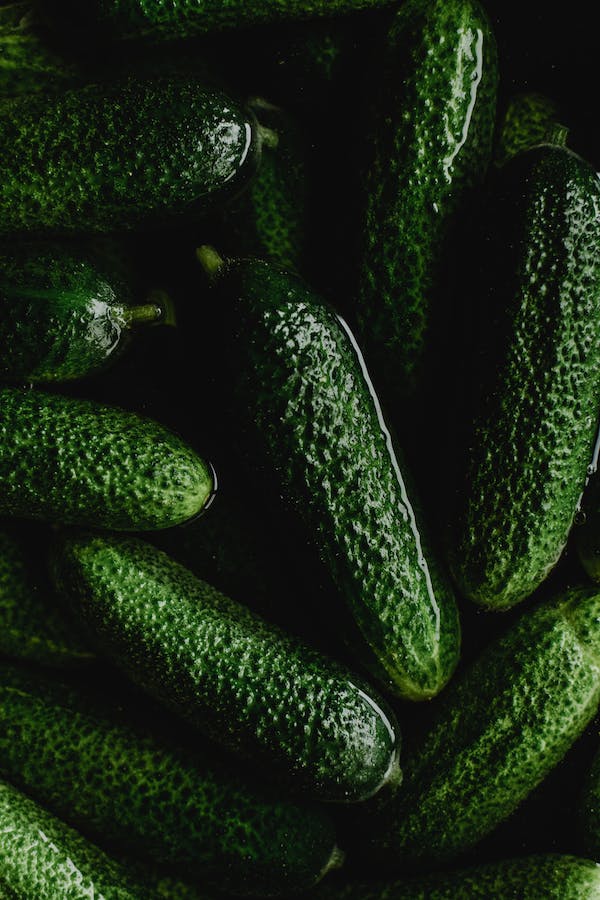 40 Pros and Cons of a Pickle Business Is it profitable to sell pickl