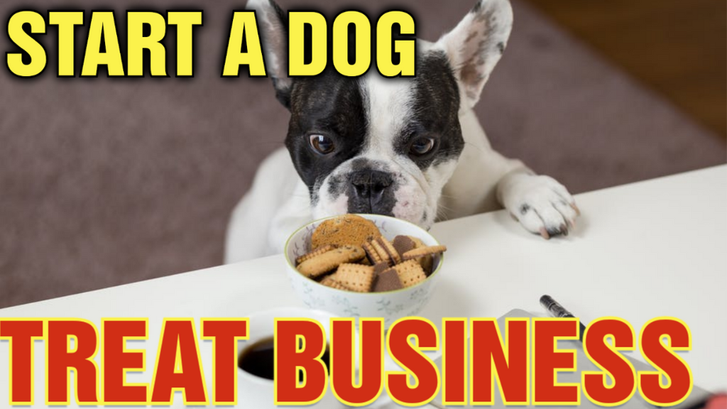 How to start a dog treat business.