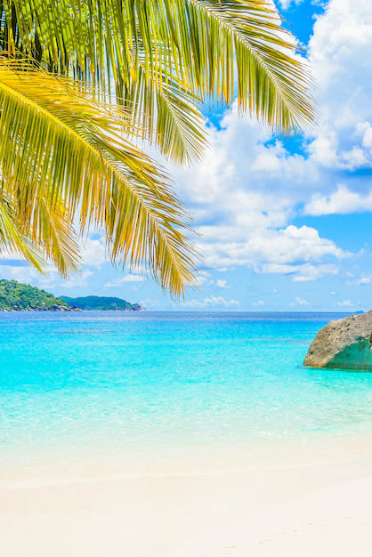 Where is a good place for Americans to retire in Mexico?