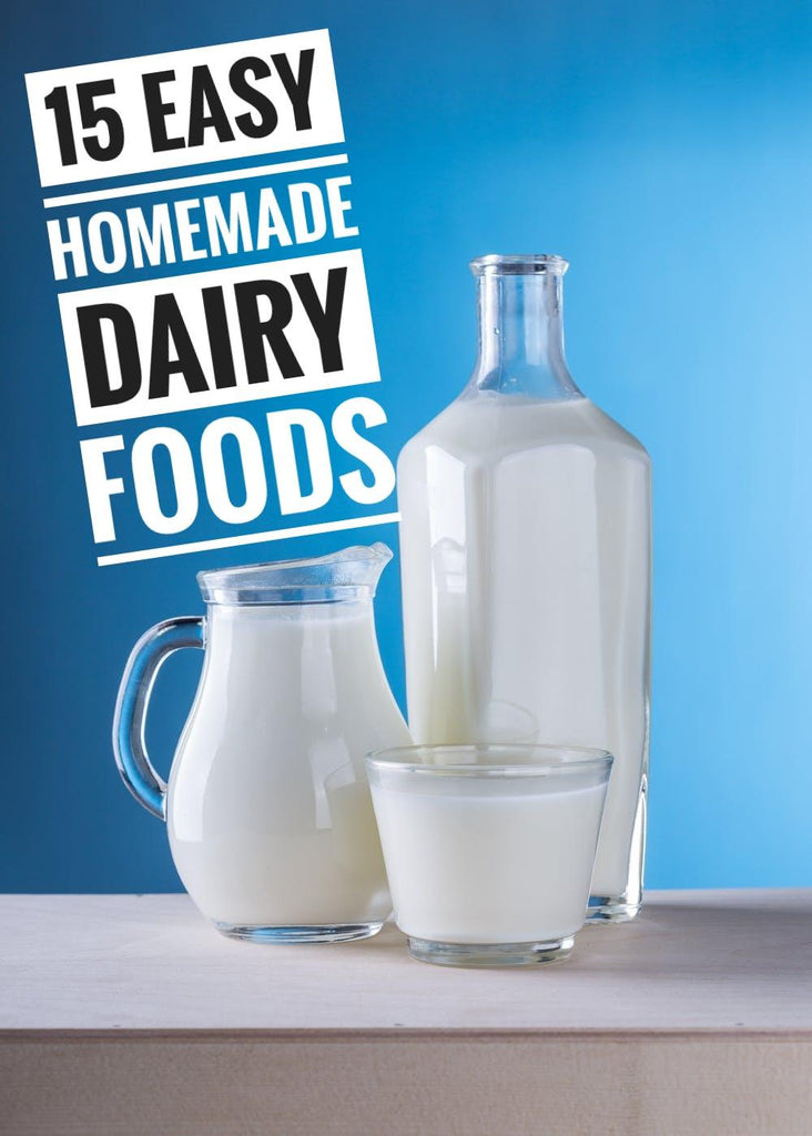 15 HOMEMADE DAIRY PRODUCTS | HEALTHY DAIRY RECIPES