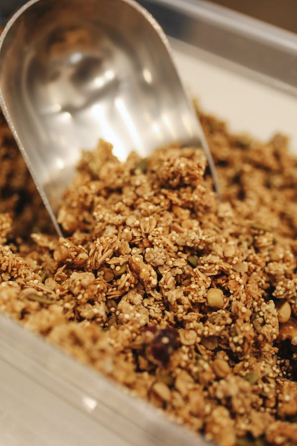 Which Business Can I Start with $1,000? Food Business Idea: Homemade Granola Business