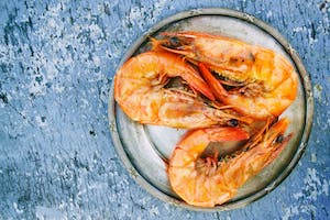 50 facts about shrimp that are odd but true: What is a funny fact about shrimp?